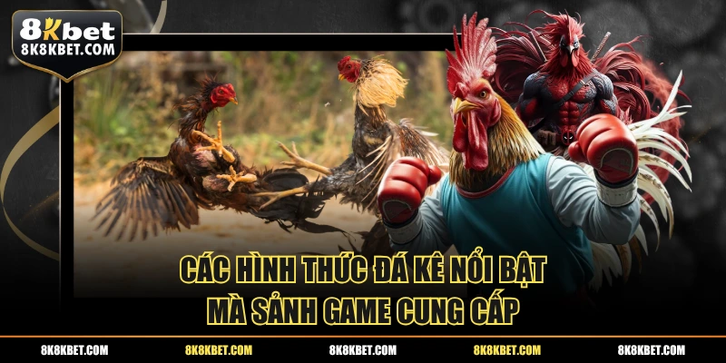 Các hình thức đá kê nổi bật mà sảnh game cung cấp