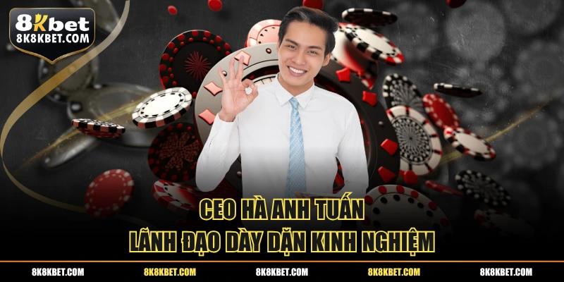 CEO Hà Anh Tuấn lãnh đạo dày dặn kinh nghiệm