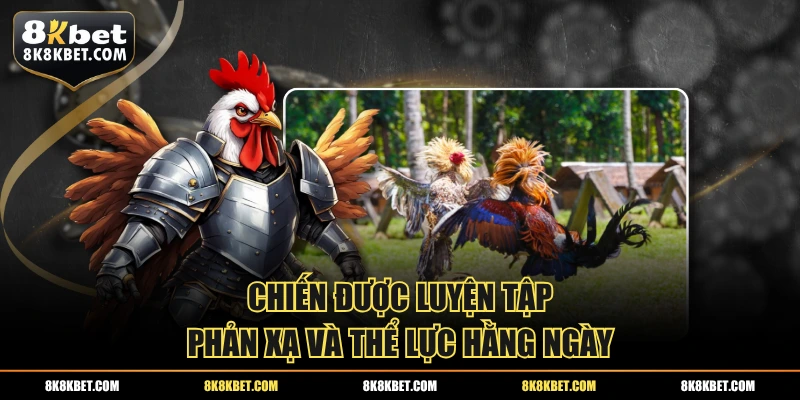 Chiến được luyện tập phản xạ và thể lực hằng ngày