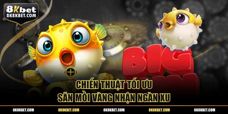 Chiến thuật tối ưu săn mồi vàng nhận ngàn xu