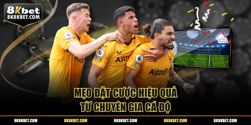 Mẹo đặt cược hiệu quả từ chuyên gia cá độ