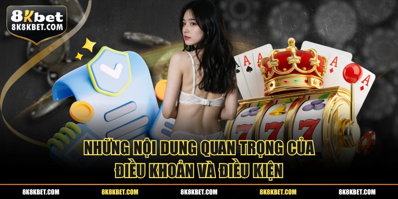 Những nội dung quan trọng của điều khoản và điều kiện