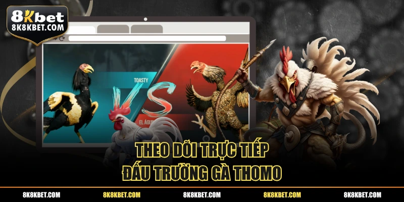 Theo dõi trực tiếp đấu trường gà Thomo