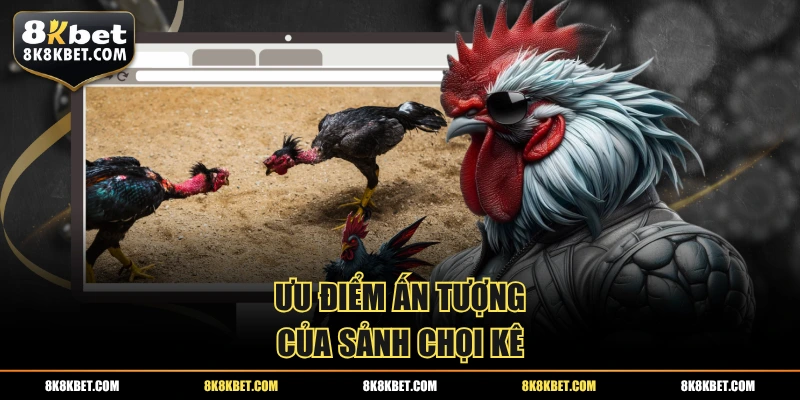Ưu điểm ấn tượng của sảnh chọi kê